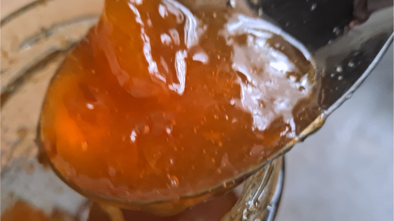 confiture d'abricot, dessert abricot belisataweer