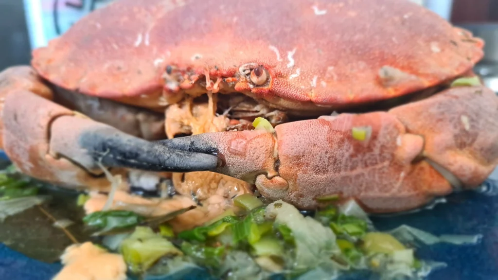 Comment decortiquer un crabe, un tourteau Belisataweer