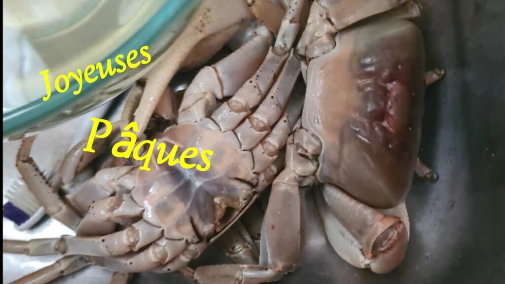 VideoCapture 20240404