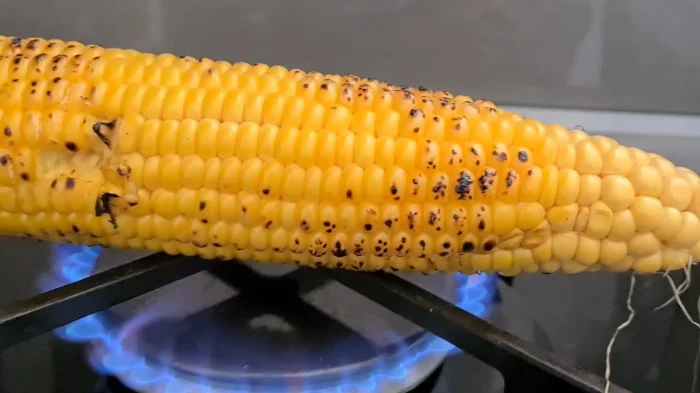 Comment cuire le maïs sans barbecue salade,