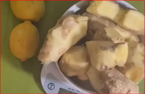 Gingembre en crue, citron bio belisataweer