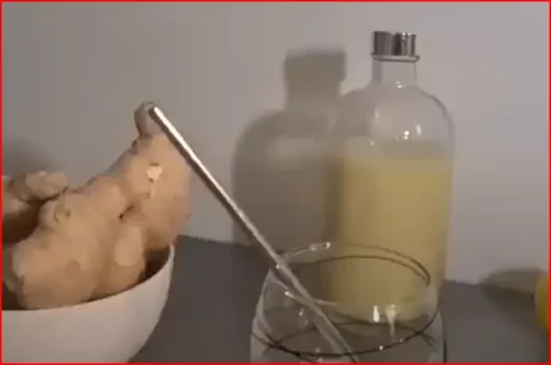 Jus de gingembre citron cure de jus belisataweer